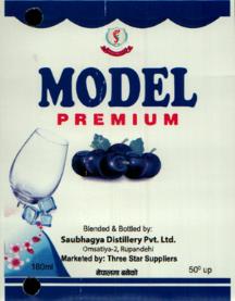 MODEL PREMIUM (and logo) trademark logo