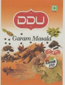 DDU (and logo) trademark logo
