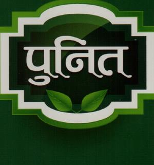PUNIT (and logo) trademark logo