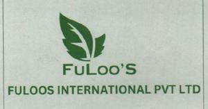 FULOO'S INTERNATIONAL PVT. LTD. (and logo) trademark logo