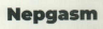 Nepgasm (and logo) trademark logo