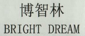 BRIGHT DREAM (and logo) trademark logo