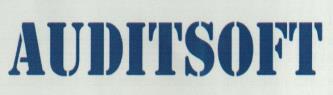 AUDITSOFT (and logo) trademark logo