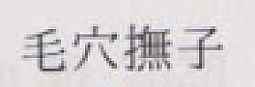 JAPANESE CHARACTERS (and logo) trademark logo