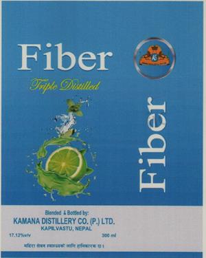 FIBER (and logo) trademark logo