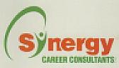 SYNERGY CAREER CONSULTANTS (and logo) trademark logo