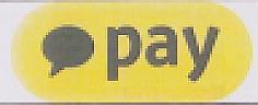 pay (and logo) trademark logo