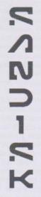 SANDISK (and logo) trademark logo