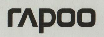 RAPOO (and logo) trademark logo