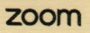 ZOOM (and logo) trademark logo