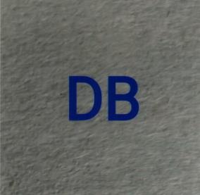 DB (and logo) trademark logo