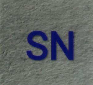 SN (and logo) trademark logo