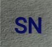 SN (and logo) trademark logo
