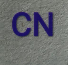 CN (and logo) trademark logo