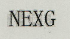 NEXG (and logo) trademark logo