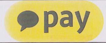 pay (and logo) trademark logo