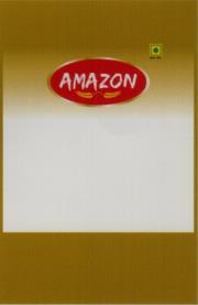 AMAZON (and logo) trademark logo