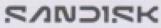 SANDISK (and logo) trademark logo