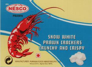 PFI NESCO (and logo) trademark logo