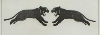 DEVICE MARK trademark logo