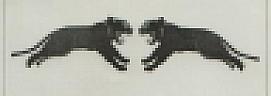 DEVICE MARK trademark logo