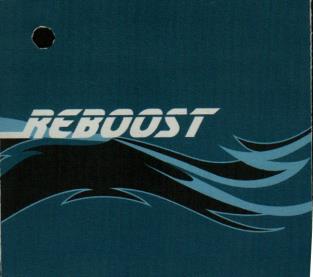 REBOOST (and logo) trademark logo
