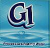 G1 (and logo) trademark logo