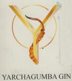 YARCHAGUMBA GIN (and logo) trademark logo