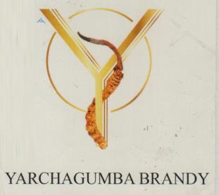 YARCHAGUMBA BRANDY (and logo) trademark logo