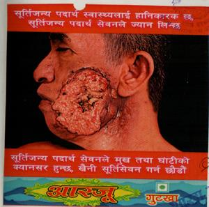 AARZOO (and logo) trademark logo