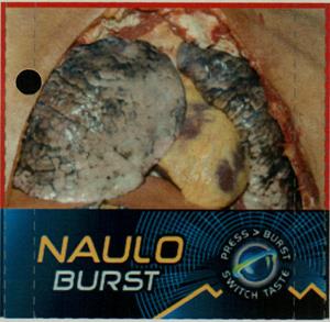 Naulo Burst (and logo) trademark logo