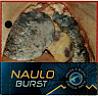 Naulo Burst (and logo) trademark logo