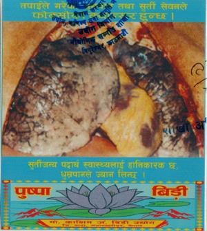 PUSHPA (and logo) trademark logo
