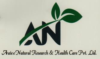 AN (and logo) trademark logo
