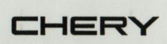 CHERY (and logo) trademark logo