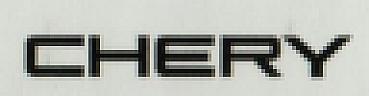 CHERY (and logo) trademark logo