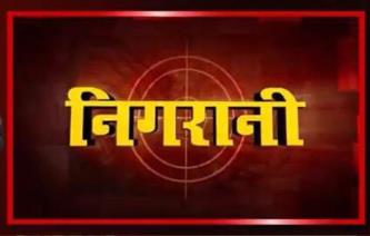 NIGARANI (and logo) trademark logo