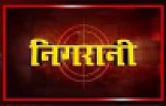 NIGARANI (and logo) trademark logo