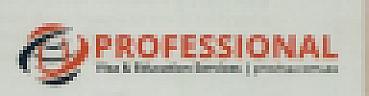 PROFESSIONAL (and logo) trademark logo