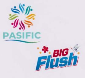 PASIFIC BIG FLUSH (and logo) trademark logo
