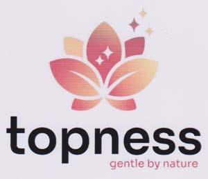 TOPNESS (and logo) trademark logo