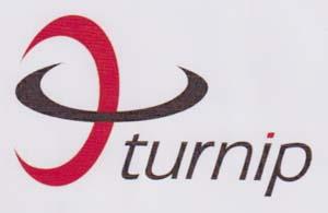 turnip (and logo) trademark logo