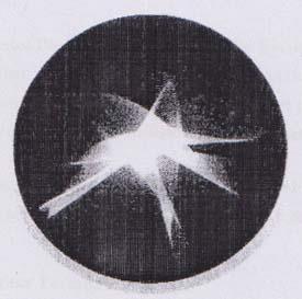 SIRI ICON (and logo) trademark logo