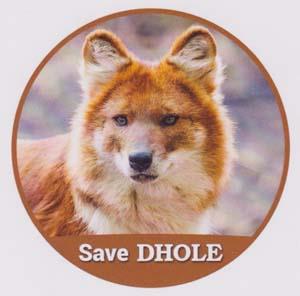 SAVE DHOLE (and logo) trademark logo