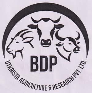 BDP (and logo) trademark logo