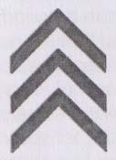 DEVICE MARK trademark logo