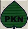 PKN (and logo) trademark logo