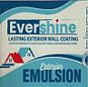 EVERSHINE LASTING EXTERIOR WALL COATING (and logo) trademark logo