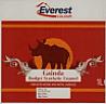 GAINDA BUDGET SYNTHETIC ENAMEL PAINT (and logo) trademark logo