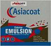 ASIACOAT (and logo) trademark logo